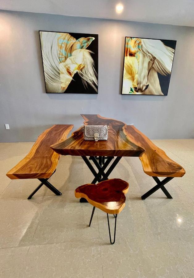 Nice Apartment In Oasky Son Thinh Building 2 头顿 外观 照片